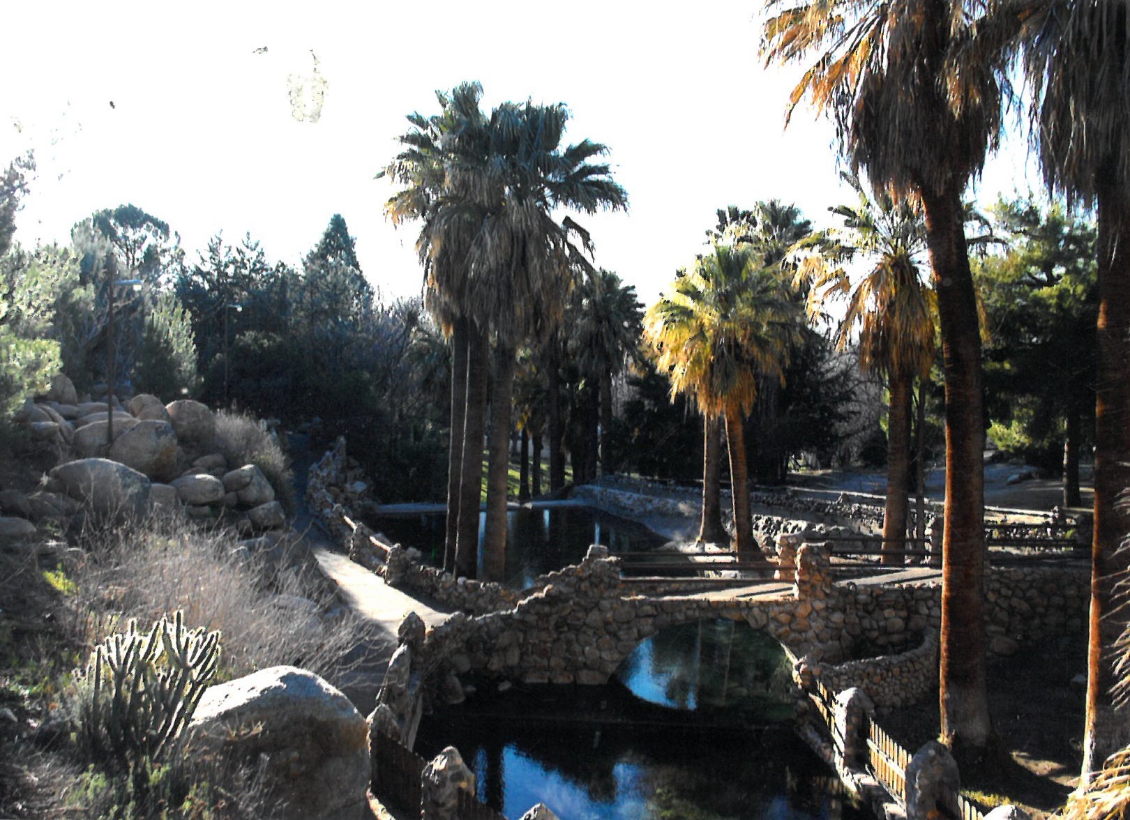 Color photograph of desert resort landscape with palm trees, stone walkways and water feature