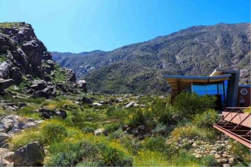 Modern visitor center with mirrored windows and angular roof overhang nestled in a rocky desert landscape with yellow wildflowers