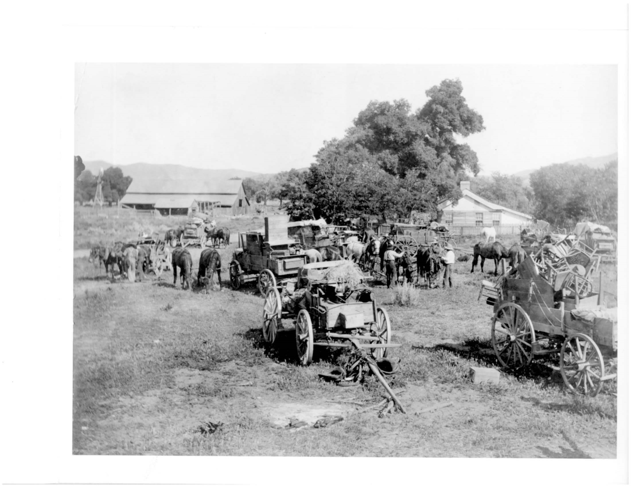 Old photograph of a line of horse- or mule-drawn wagons with shade tree, barn and farmhouse in background