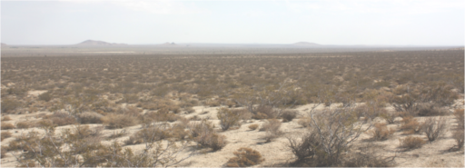 Photograph of desert landscape